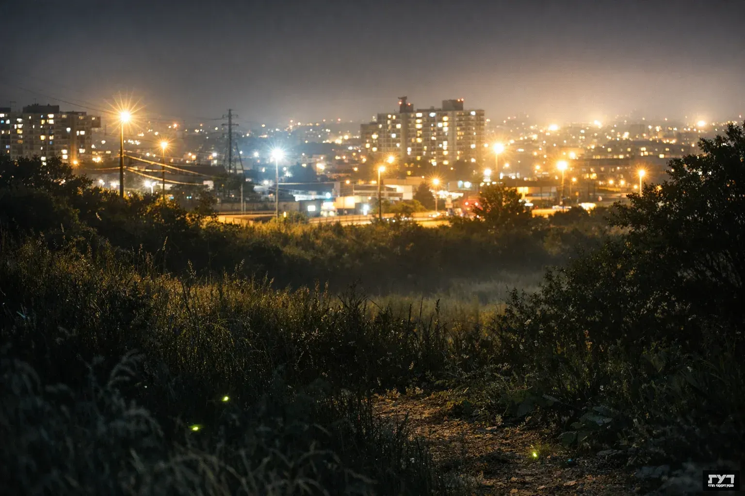 נוף עירוני מואר בלילה עם תאורת רחוב עזה, לעומת שטח טבעי חשוך בחזית עם גחליליות קלושות הנאבקות להיראות