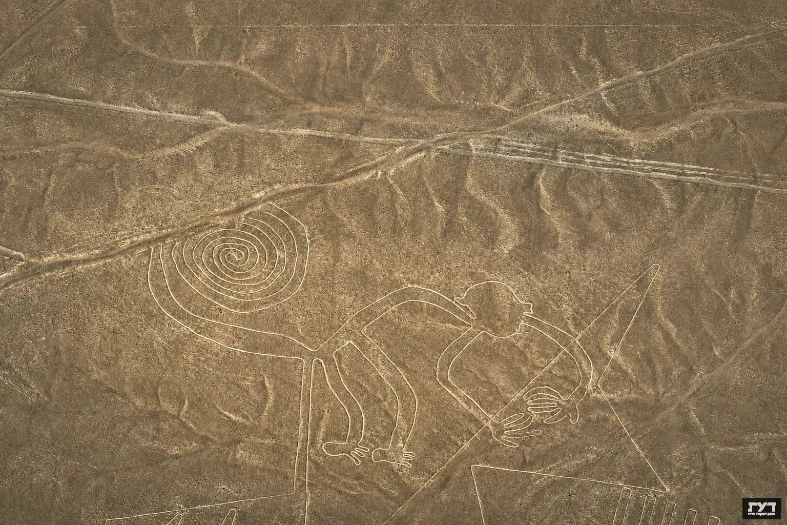 ציור קוף עתיק בקווי נאסקה בפרו, צילום אווירי של גיאוגליף במדבר